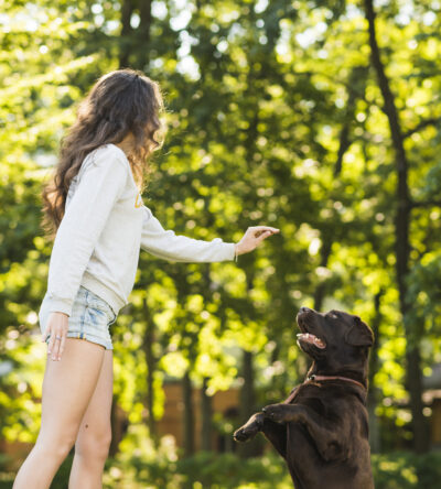 Éducation & Comportement Canin - Expert