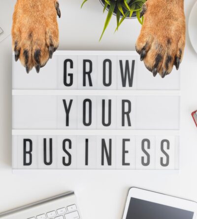 Développer son activité