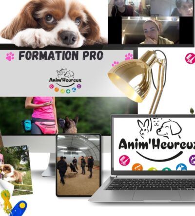 Éducation & Comportement Canin - RS7006