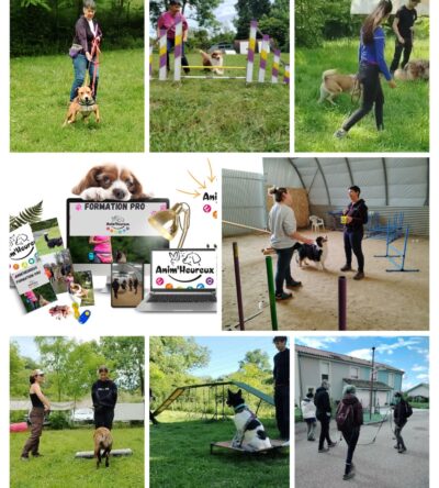 Éducation & Comportement Canin - RS7006